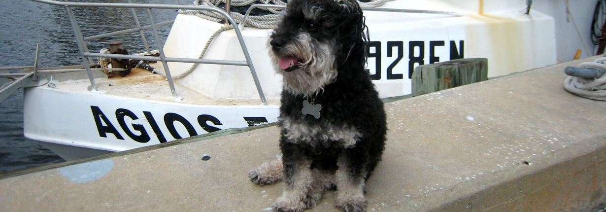 tarpon springs sponge docks