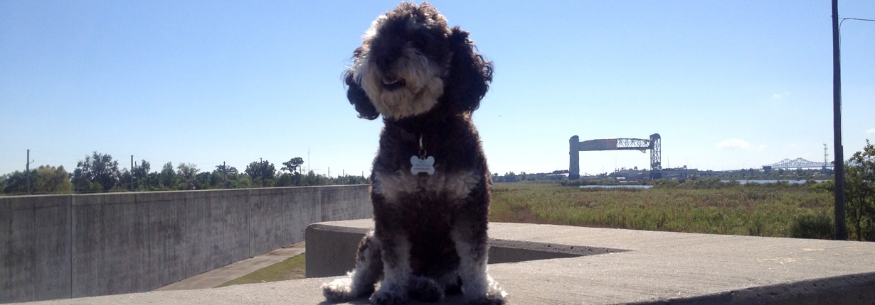 sitting on the levee
