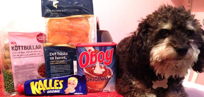 surviving a cold swedish winter