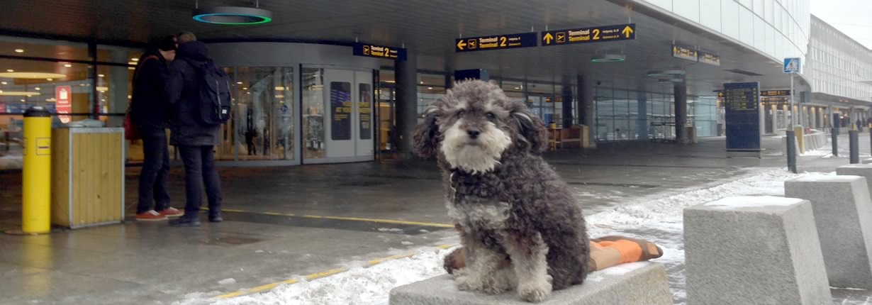 Willie at Copenhagen Kastrup Airport