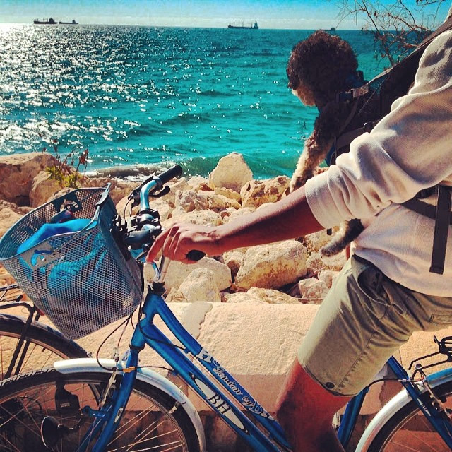 South Coast of Spain