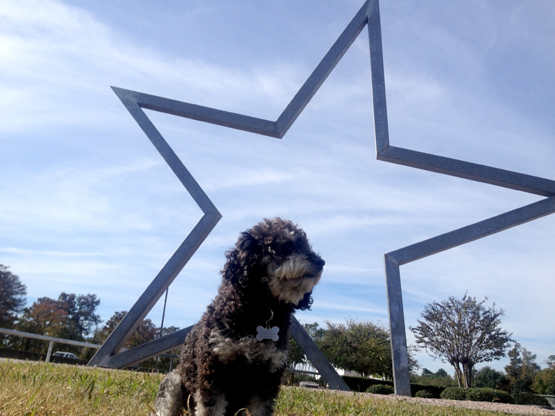 Texas Welcome Center