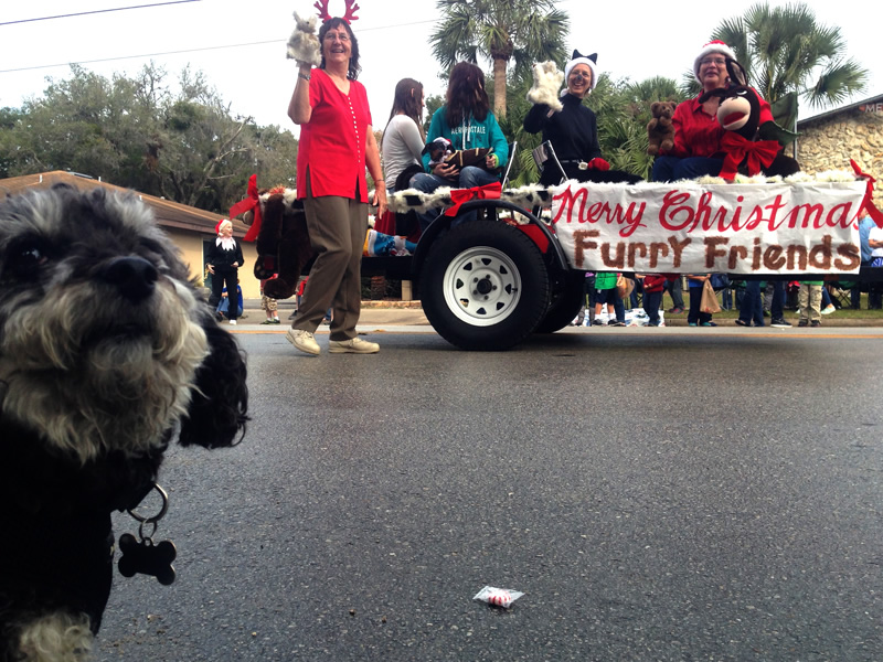 Melrose Xmas Parade