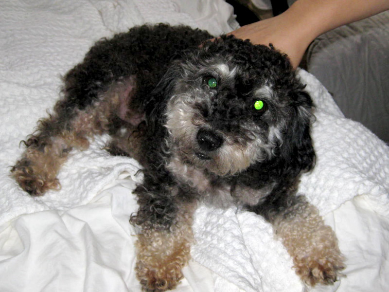 willie's first photo