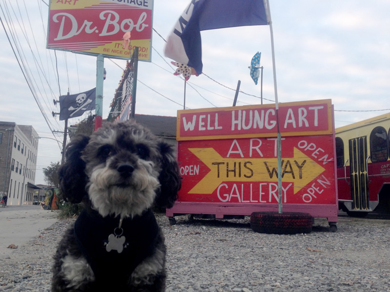 Dr Bob's Art Gallery