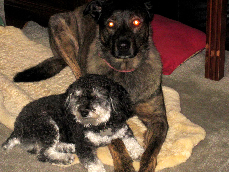 New Orleans with Feona