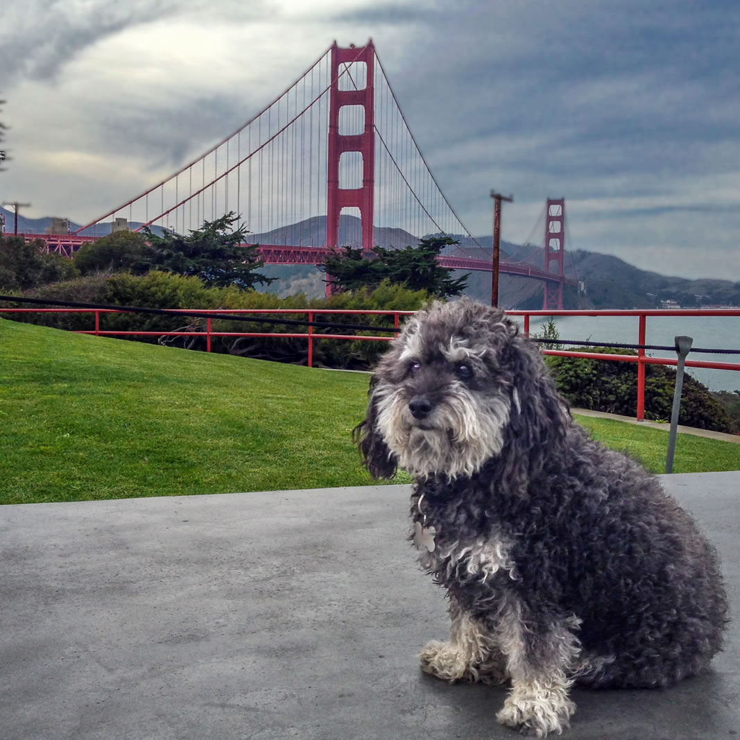 Road Trip USA – West Coast