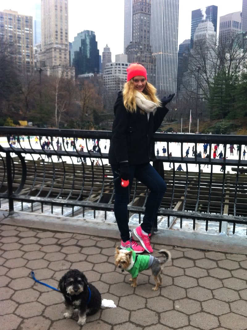 Central Park, New York City