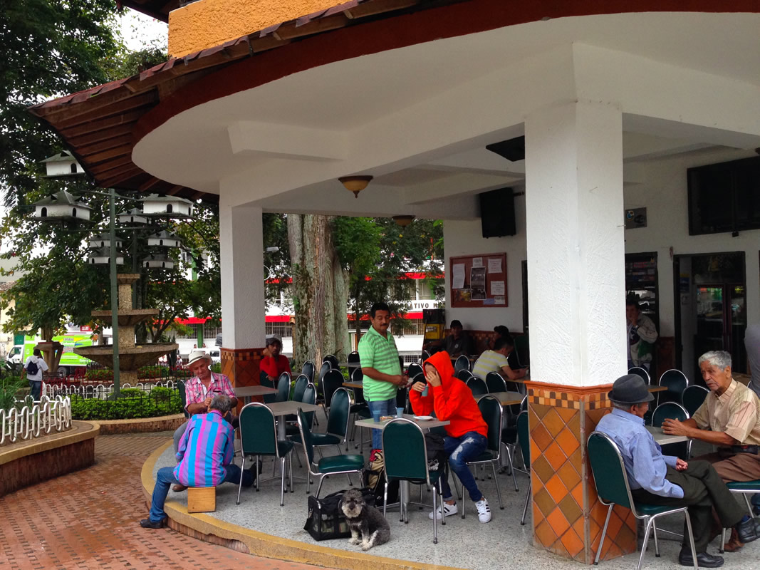 with Alee in Cocorna