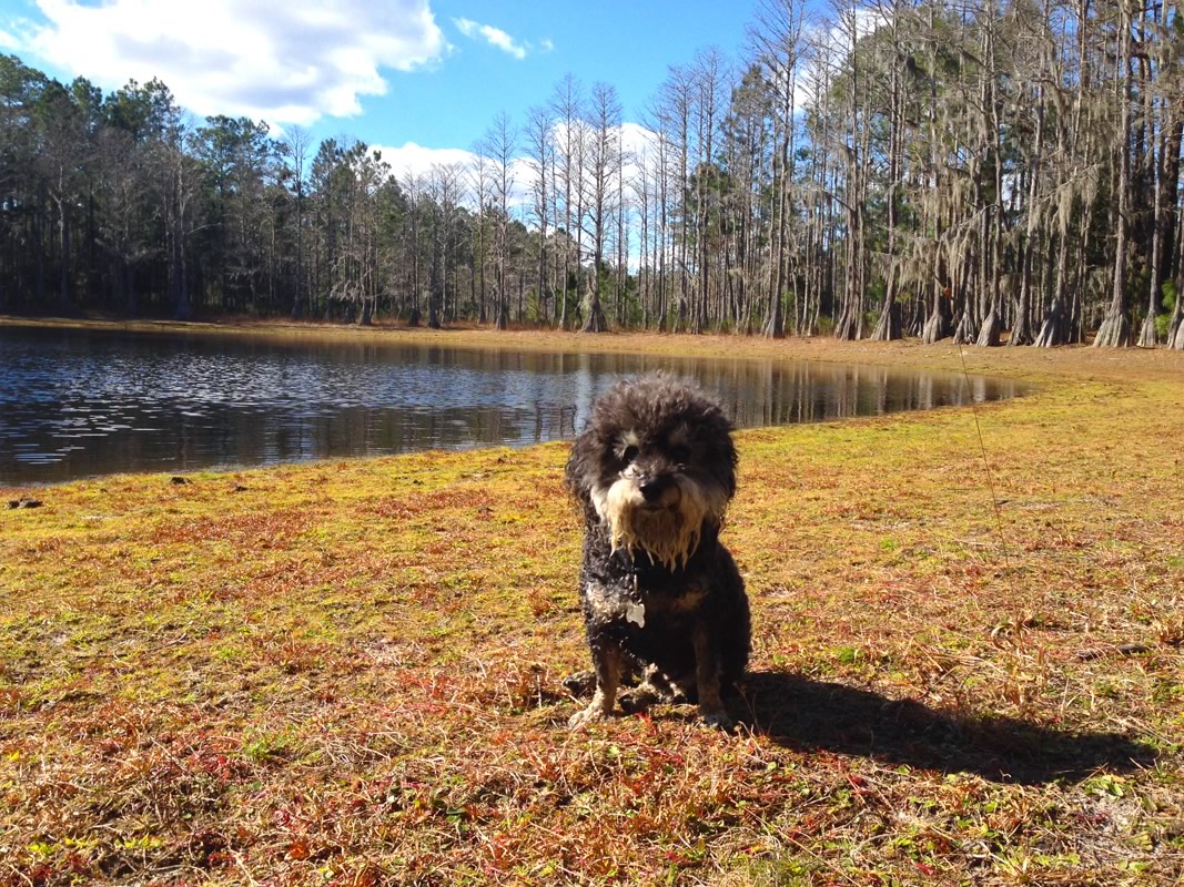 hiking in central florida