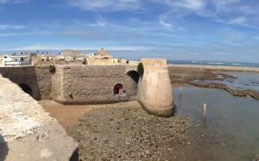 willie sitting on top of the city wall in morocco