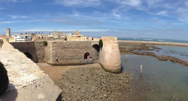 willie sitting on top of the city wall in morocco