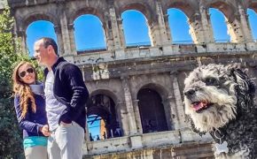 willie in rome at the coloseum