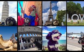 view willieès photo albums from his travels