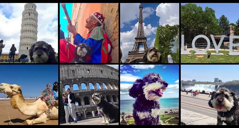 view willieès photo albums from his travels