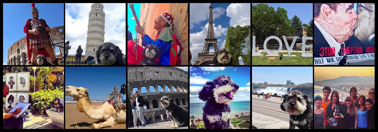 view willieès photo albums from his travels