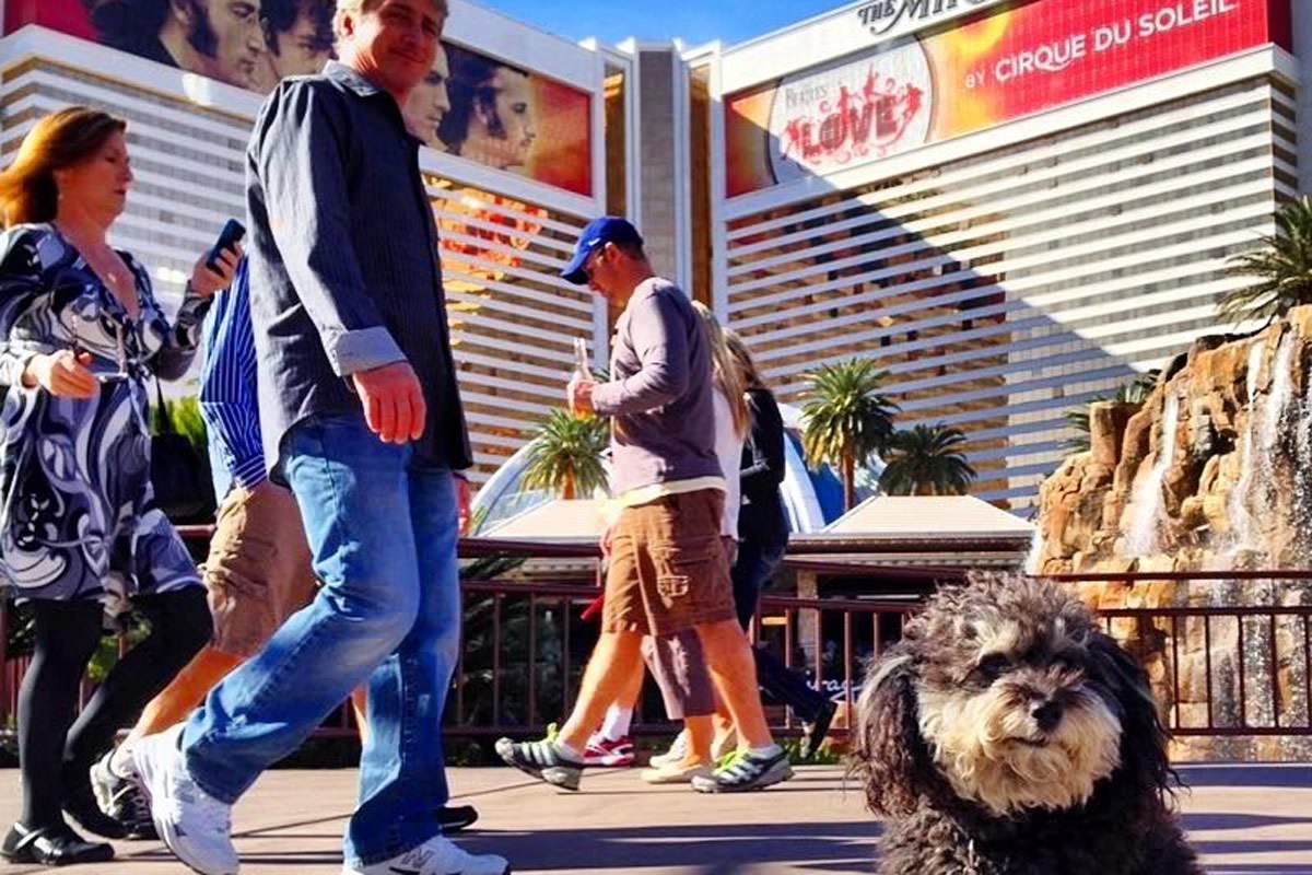 Road Trip USA – Drive East