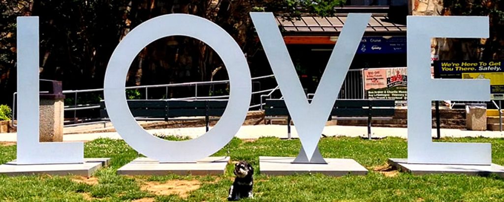 Willie is the face of the Where is Willie Foundation