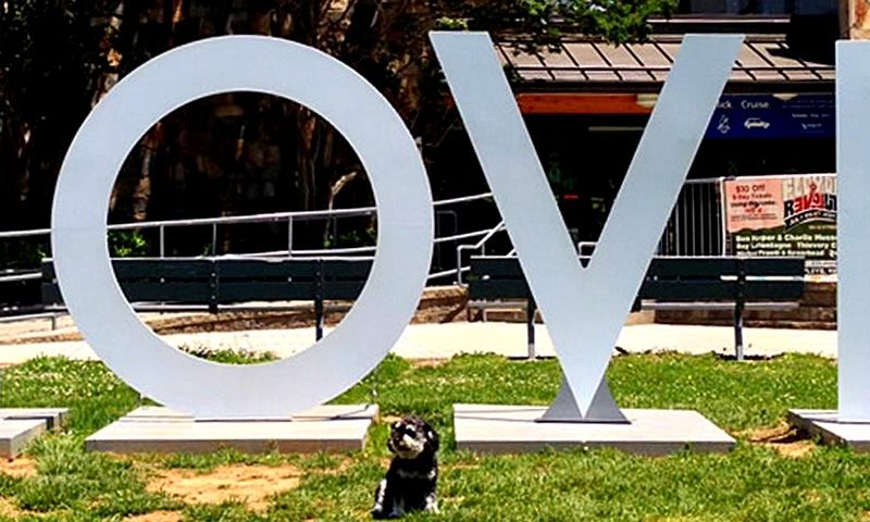 Willie is the face of the Where is Willie Foundation