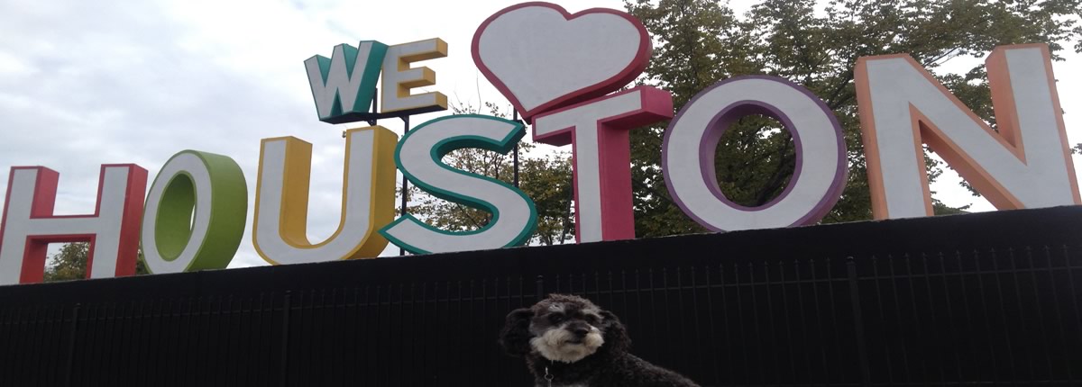 willie loves houston