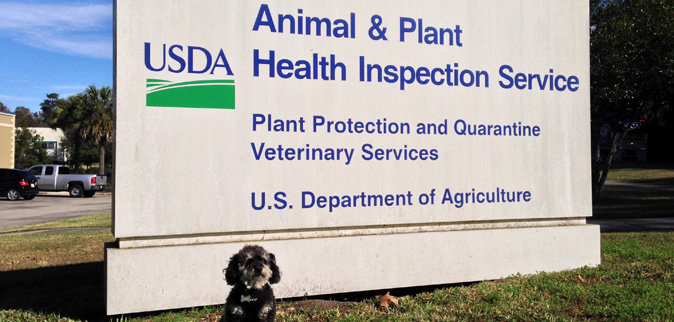 willie at the USDA APHIS